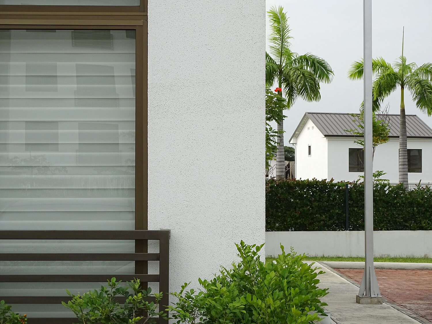 Improve Your Game: Lacrosse Tips for Female Players